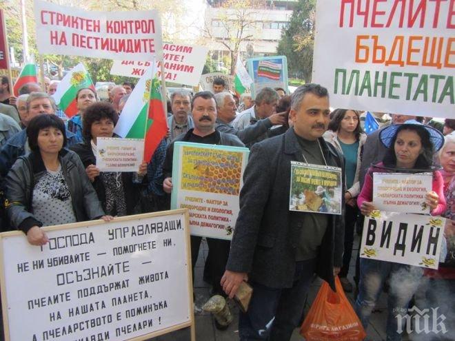 Пчеларите излязоха на протест срещу опасни и за хората пестициди