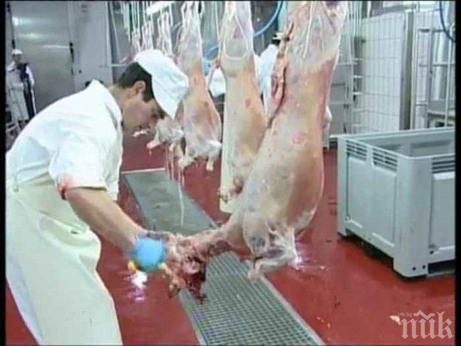 Фермери поискаха агнешкото да струва 20 лева за кило