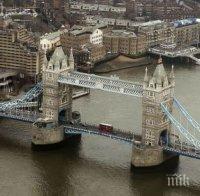 НОВ ЖИВОТ: Акули отново плуват из Темза