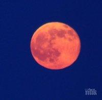 Феномен! Розова луна ще озари априлското небе