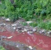Страшен сигнал! Окървавена река от заклани агнета вдигна по тревога общината в Карнобат