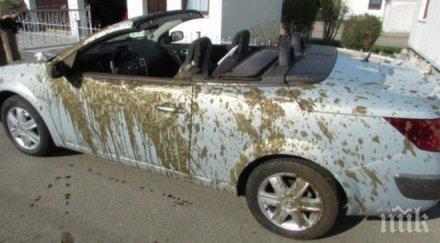 лош късмет семейство излезе разходка кабриото върна окъпано фекалии