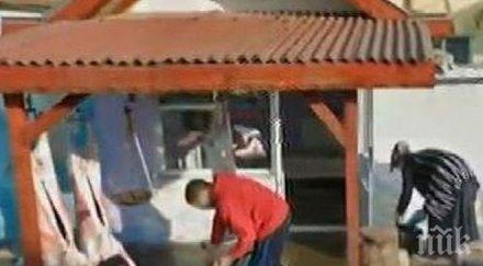 ужас роми колят агнета направо улицата продават