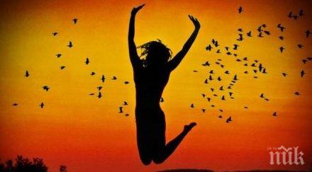 неща спрете правите точно