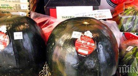 диня 6100 долара