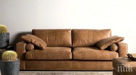 внимавайте диванът хола докара рак