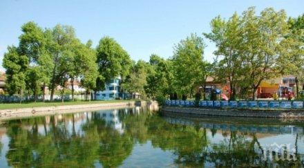 пуснаха 350 амура чистят езеро монтана