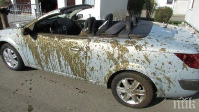 ЛОШ КЪСМЕТ! Семейство излезе на разходка с кабриото, но се върна окъпано във фекалии