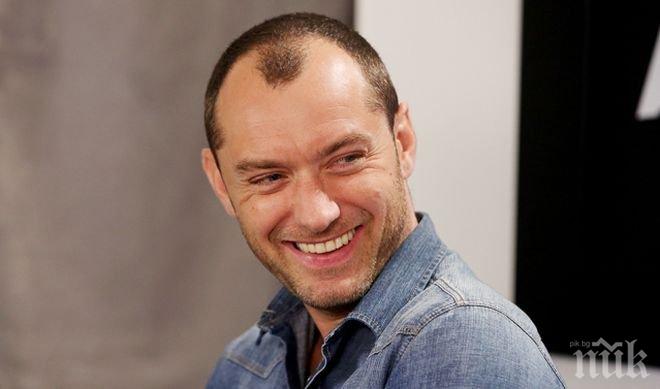 Продължение! Джъд Лоу ще изиграе младия Албус Дъмбълдор във втория филм от сагата „Фантастичните животни“