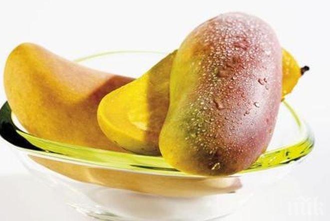 Рекорд! Два плода манго бяха продадени за 3,7 хиляди долара в Япония