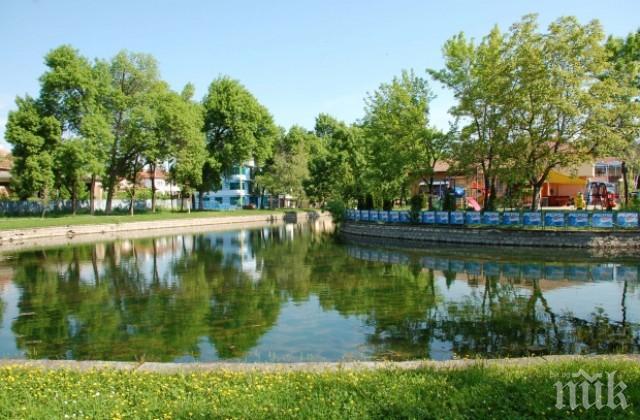 Пуснаха 350 амура да чистят езеро в Монтана