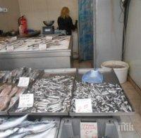 Чудо по Великден: Продават цаца за левче в Бургас