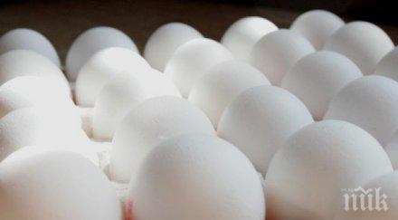 паника нета изчезнаха белите яйца