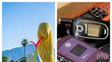 апаш задигна 100 мобилни телефона посетители фестивал изкуствата музиката сащ