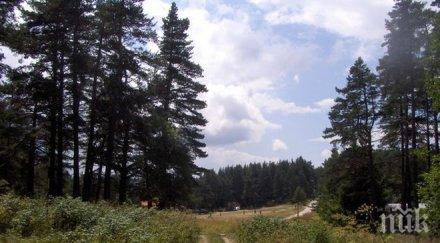 щастлив докато търсят жената изчезнала родопите прибрала сама хижата