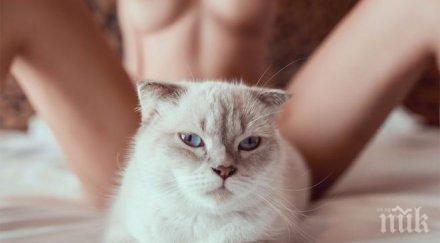 без задръжки топ манекенка снима коте горещи снимки