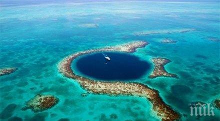 велико откритие намериха неизвестна форма живот марианската падина видео