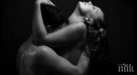 ужас американската порноиндустрия спира работа