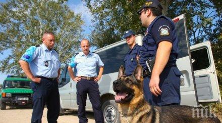 засилени мерки сигурност теористични нападение великден албания