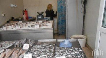 чудо великден продават цаца левче бургас