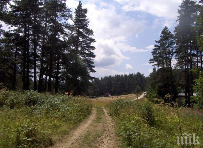 Щастлив край! Докато я търсят, жената изчезнала в Родопите, се прибрала сама в хижата