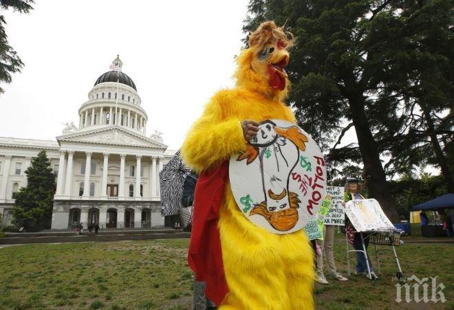 СБЛЪСЪЦИ! Протестиращи срещу Тръмп американци предизвикаха масови размирици в големите градове