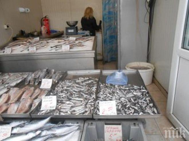 Чудо по Великден: Продават цаца за левче в Бургас