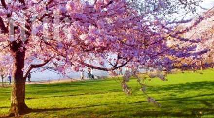 зима пролет редуват април