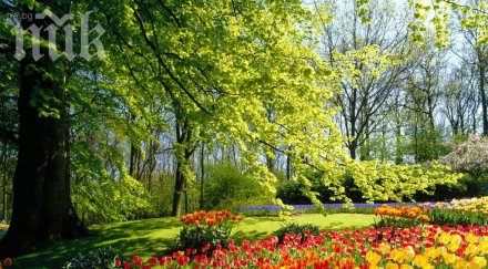 градусова жега