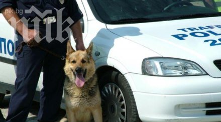 шеф бие арестува свой млад служител