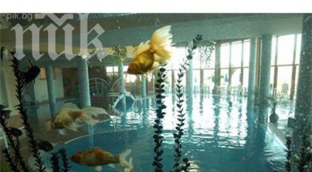 600 хотела нас продават безценица