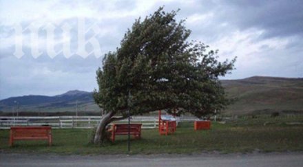 предупреждават силен вятър