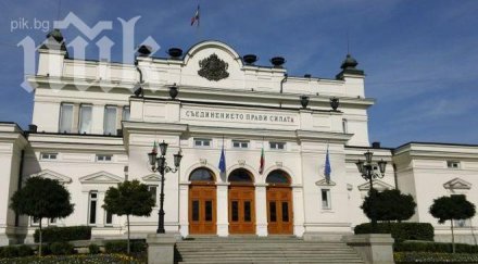 400 мъже жени искат станат депутати