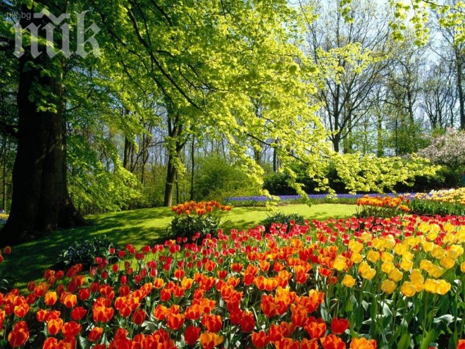 Утре 20-градусова жега