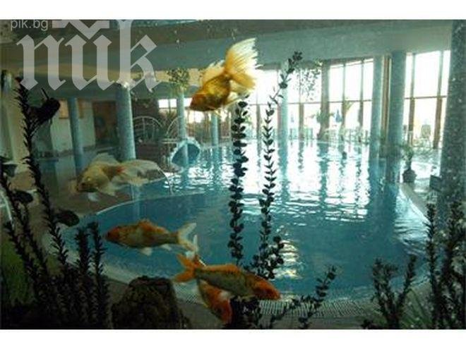 Над 600 хотела у нас се продават на безценица