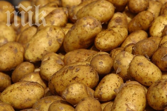Министър на земеделието: Миро Найденов съсипа производството на картофи