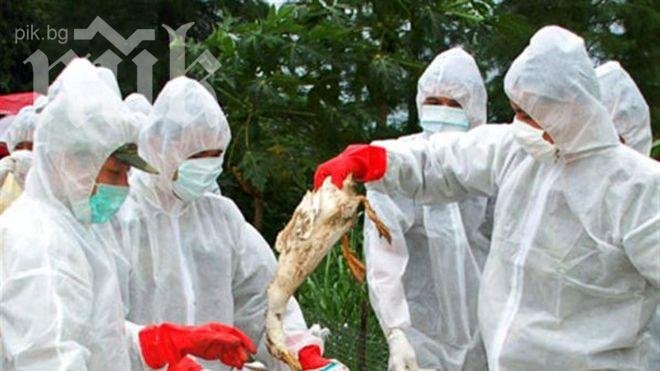 Птичи грип уби 14 китайци