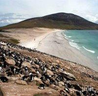 В Аржентина следят „Брекзит“ внимателно заради Фолклендските острови