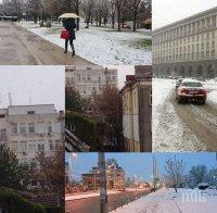 ЛЕДЕНА ЕПОХА! Сняг на парцали в София! Вали като за Коледа
