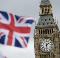 Британските лейбъристи и либералдемократи отхвърлиха призива на зелените да се създаде съюз срещу Консервативната партия