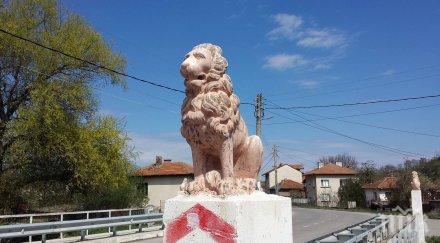 мигранти лъвов мост справихме… снимки