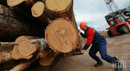 китай сащ изкупуват руската гора