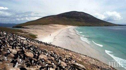 аржентина следят брекзит внимателно заради фолклендските острови