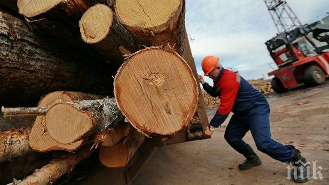 Китай и САЩ изкупуват руската гора