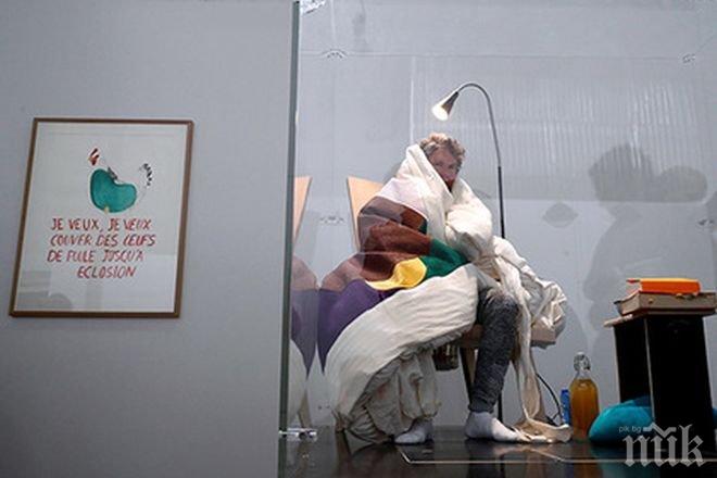 ШАШ! Френски художник измъти яйце (СНИМКА)
