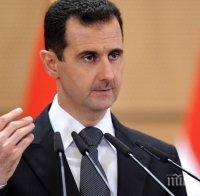 Башар Асад: Русия частично компенсира загубите на сирийската противовъздушна отбрана