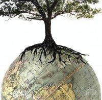 Празнуваме Международния ден на Земята! Посадете дърво в името на планетата ни