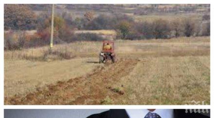 нивите продължават поскъпват 2016 година