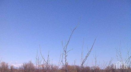 ниските температури поразиха овошките