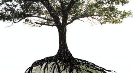 празнуваме международния ден земята посадете дърво името планетата